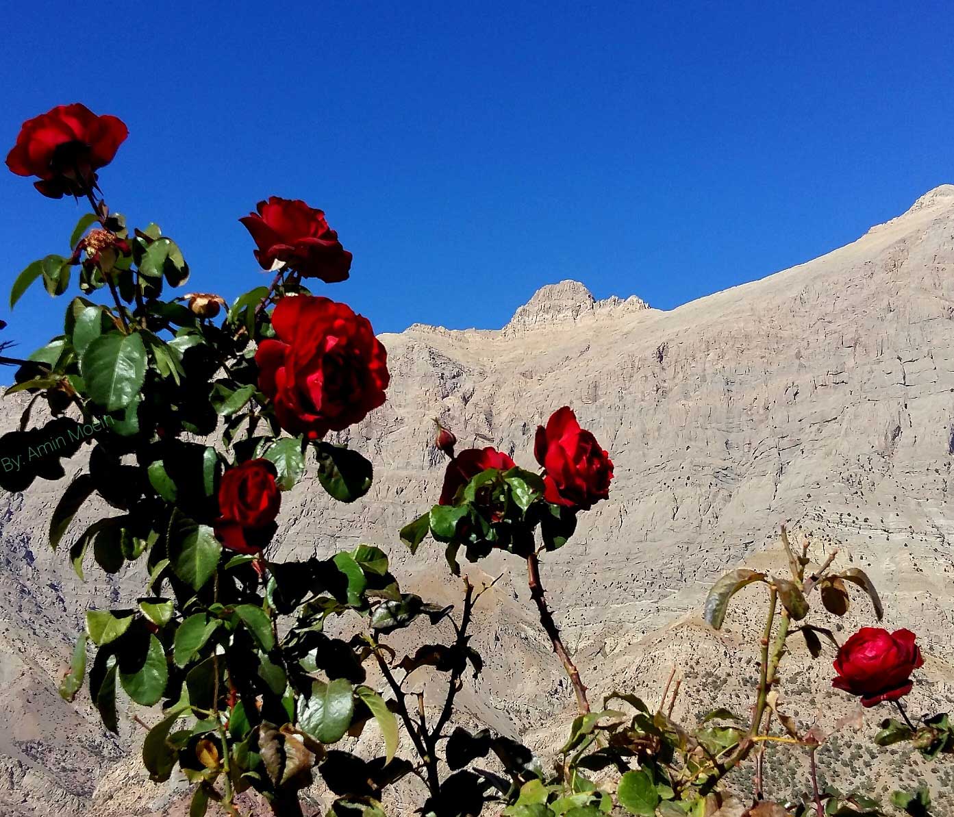 Hiking in Zagros – Dena 