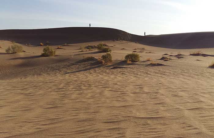 Ski touring in Zardkouh & Desert trekking 