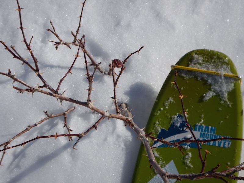 Ski touring in Alborz