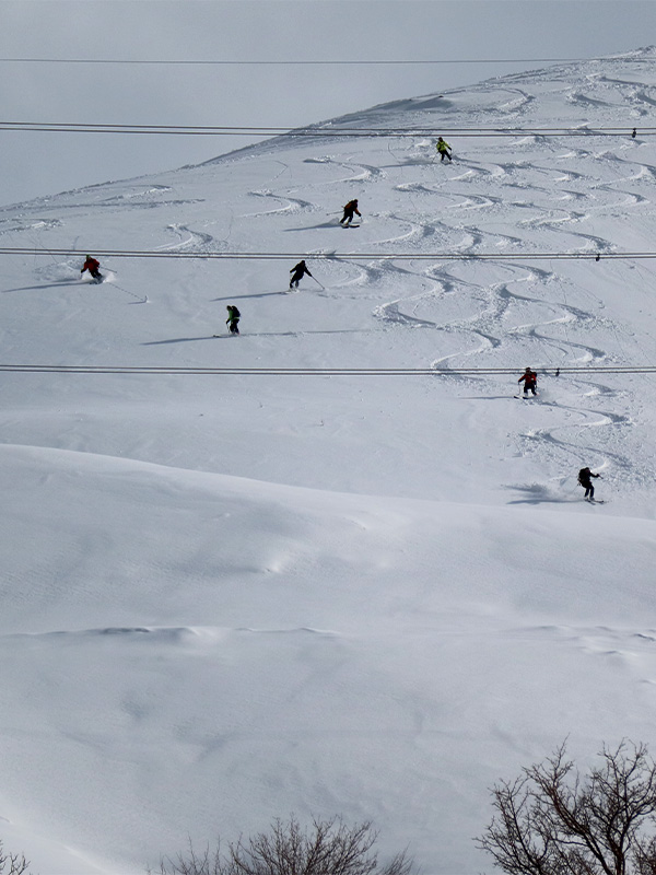 Ski Zagros