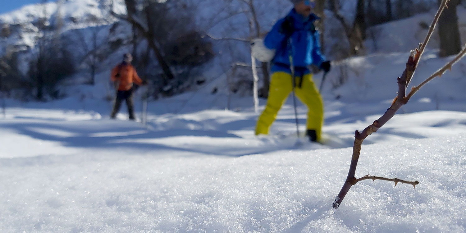 Ski touring in Alborz