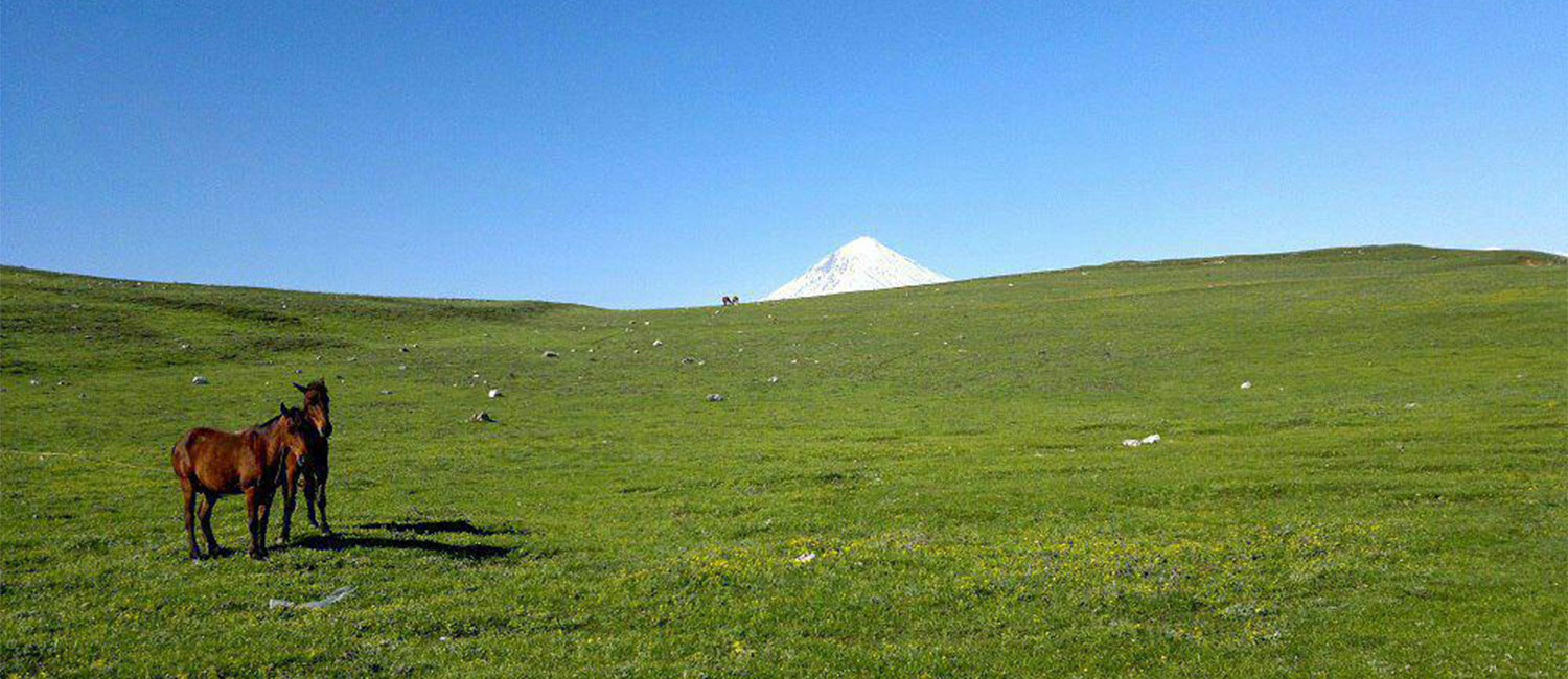 Iran Hiking in Alborz