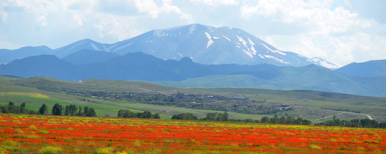 Sahand Peak; Flower-covered peaks