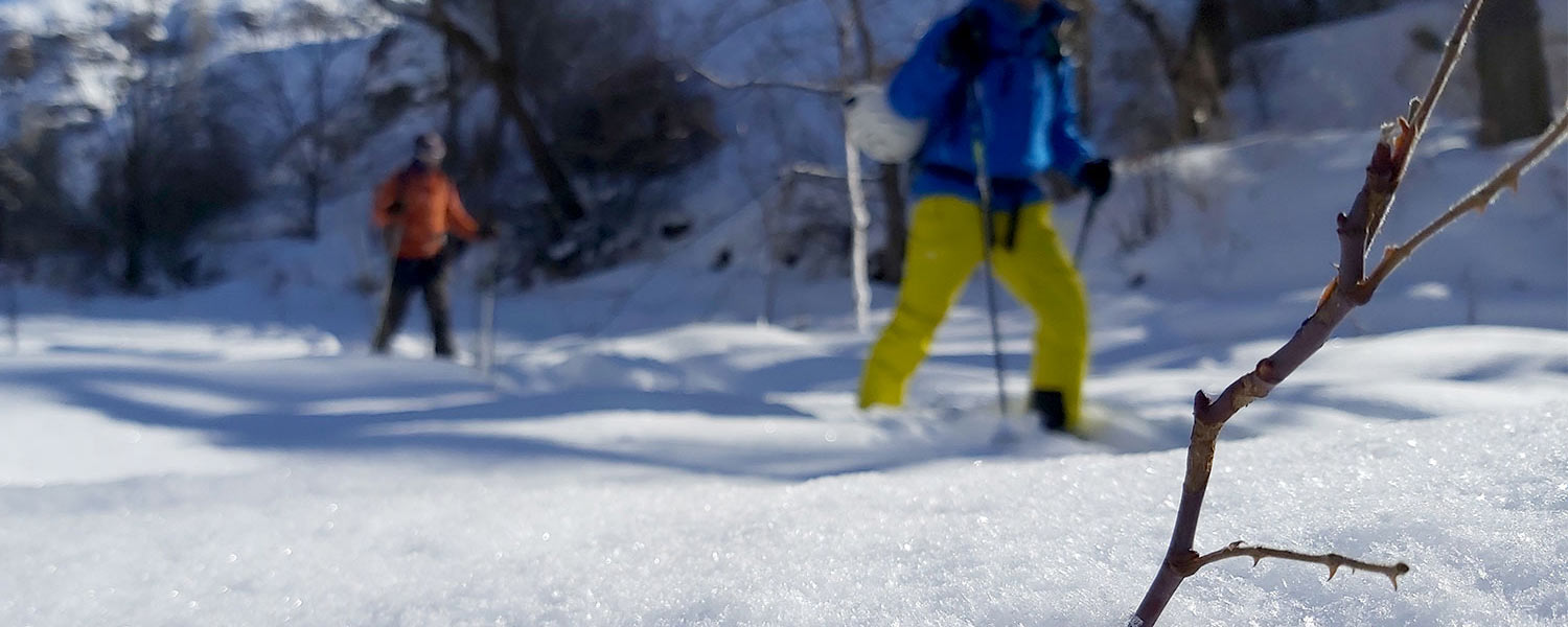 Ski in Iran